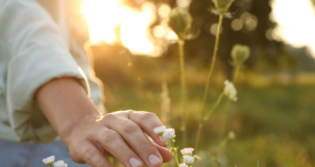 Kurator.nu - För psykiskt välmående - Kontakta oss