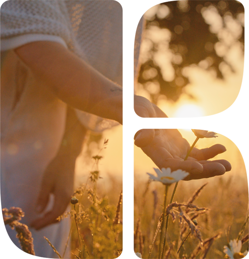 Kurator.nu - Om kurator.nu - Kvinna i uppgång på ett fält